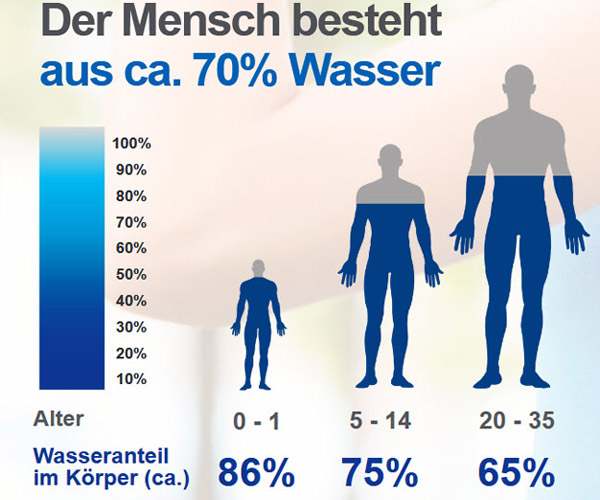 Wasser im Körper