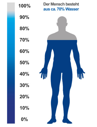 Wasser-im-Körper